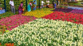 yercaud-all-set-to-host-46th-summer-festival-flower-show