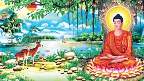 2568th-buddha-poornima-is-the-best-guide-for-all