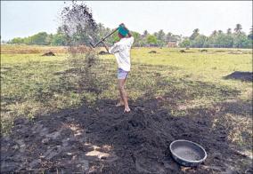 farmers-preparing-for-kuruvai-cultivation