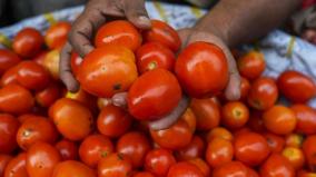 tomato-price-increase-throughout-the-month-of-june-koyambedu-market-traders