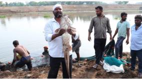 banned-african-catfish-farming-in-salem-fisheries-officials-probe