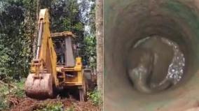 nilgiris-struggle-for-4-hours-to-rescue-the-baby-elephant-that-fell-into-the-well