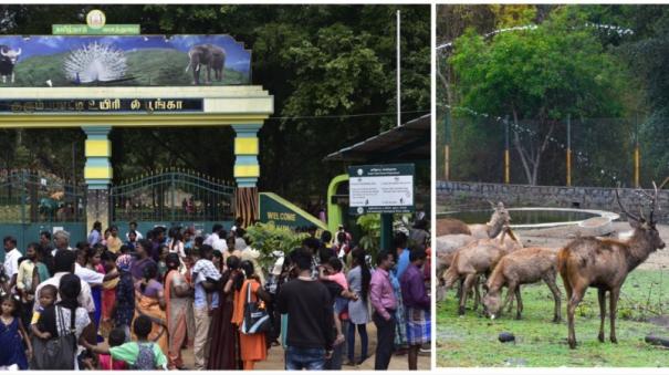 A forest employee was killed after being attacked by an Elk in the Salem Park