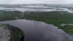 restore-pallikaranai-wetlands-seeman-insists