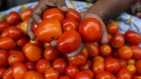 tomato-beans-prices-fall-in-koyambedu-market