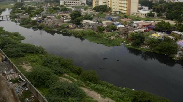 TN govt has ordered to allocate Rs 50 crore to prevent mixing of sewage at 23 places in the Cooum river