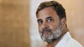 cwc-passes-resolution-to-appoint-rahul-gandhi-as-leader-of-opposition-in-lok-sabha