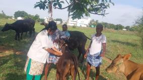 measles-vaccination-begins-today-across-tamil-nadu