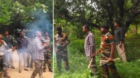 trying-to-drive-away-elephants-by-bursting-firecrackers-on-palani-forest-department-is-active-day-and-night