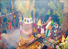 aani-festival-in-nellaiyappar-temple