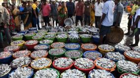when-prices-of-fish-will-drop-fishermen-explains