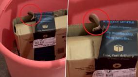 bengaluru-couple-shocked-to-find-live-snake-in-amazon-package