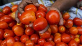 tomatoes-are-sold-at-rs-70-per-kg-in-the-koyambedu-market