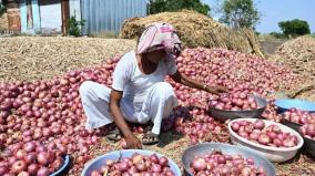 union-government-procured-71000-tonnes-of-onion-to-control-price-rise