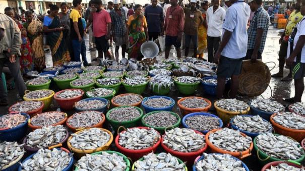 high fish catchments results busy trade in Chennai Kasimedu market