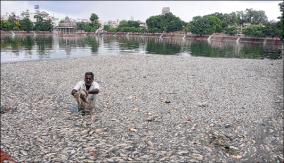 measures-to-prevent-fish-die-off-in-temple-ponds