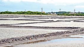 salt-production-slows-down-on-tuticorin-due-to-unfavorable-climate
