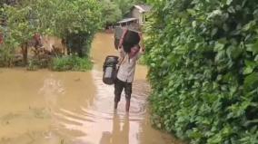 schools-colleges-shut-in-pandalur-due-to-heavy-rains