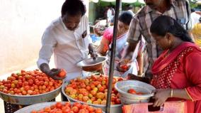 the-price-of-tomato-in-koyambedu-market-has-decreased-to-rs-44-per-kg