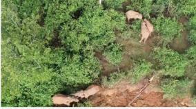 forest-department-uses-drone-to-monitor-elephant-movement-in-kudalur