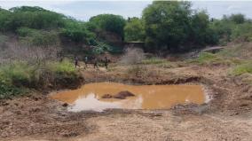 an-elephant-that-had-been-roaming-around-the-town-for-4-years-fell-into-a-puddle-and-died