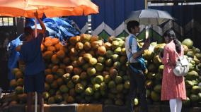 cultivation-has-halved-price-of-tender-coconuts-price-soars