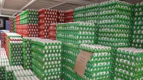 summer-in-muscat-oman-egg-exports-decline-at-namakkal