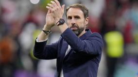 england-coach-gareth-southgate-resigns