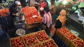 tomato-price-hike