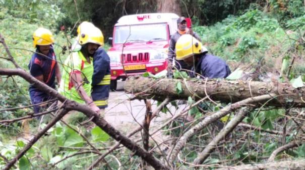 Mountain Train Service between Udhagai - Coonoor Temporarily Cancelled Due to Trees Fallen