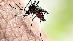 fast-spreading-dengue