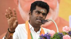 tn-not-neglected-in-budget-annamalai-bjp