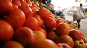 a-kg-of-tomatoes-fell-to-rs-34-in-the-koyambedu-market