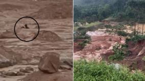 wayanad-landslide-man-clings-to-rock-and-struggles-to-survive-heartbreaking-video-footage