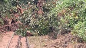 nilgiris-mountain-railway-train-cancelled-till-aug-6-due-to-heavy-rain