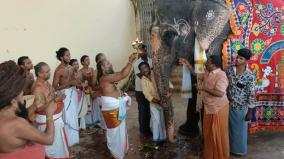 elephant-donated-to-dharmapuram-adheenam-thirumadam-renamed-as-gnanambigai