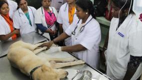 student-rank-list-for-veterinary-courses-release-today