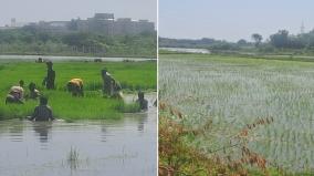 release-of-water-from-periyar-dam-for-irrigation