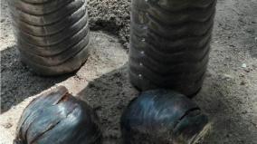 an-environmentalist-grows-palm-in-a-plastic-bottle-near-madurai