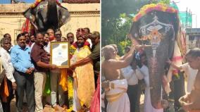 tamil-nadu-best-pagan-award-for-kumbakonam-adi-kumbheswarar-temple-elephant-pagan