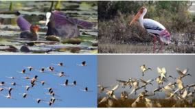 notification-of-nanjarayan-and-kazhuveli-bird-sanctuaries-announced-as-ramsar-sites