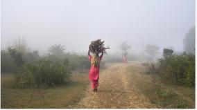 up-bihar-workers-verification-in-punjab