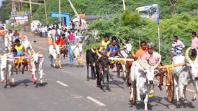 a-cow-and-horse-cart-race-was-held-at-sivagangai