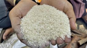 rice-price-getting-hike-in-tamil-nadu