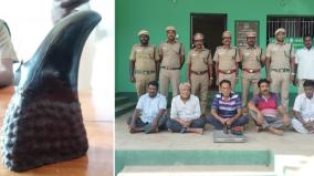 five-people-including-an-ex-airman-were-arrested-for-trying-to-sell-rhino-horn-worth-rs-20-lakh-claiming-it-was-for-masculinity