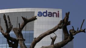 adani-group-increases-domestic-borrowing