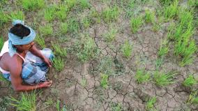 why-is-tamil-nadu-lagging-behind-in-irrigation-development