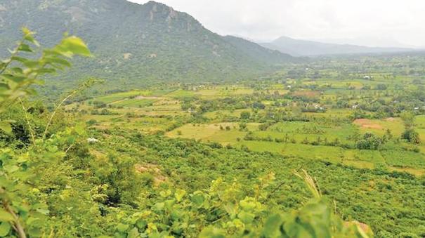 Forest Rights Act makes it difficult to start business in Kalvarayan Hills