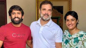 vinesh-phogat-bajrang-punia-to-contest-haryana-polls-as-congress-candidates