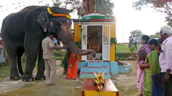 Elephants Puja to lord ganesha on ganesh chaturthi Mudumalai